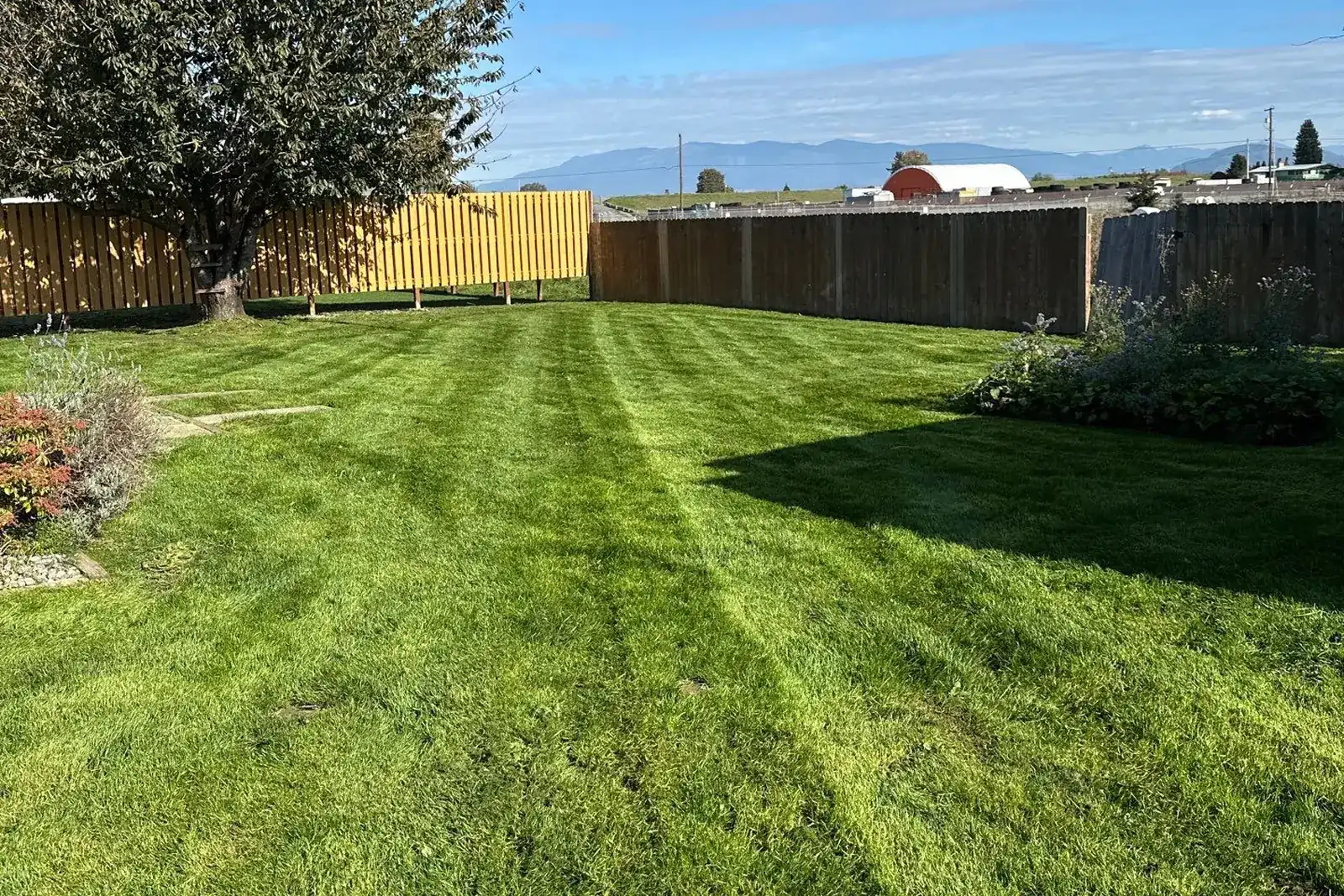The same backyard after service: mowed and striped
