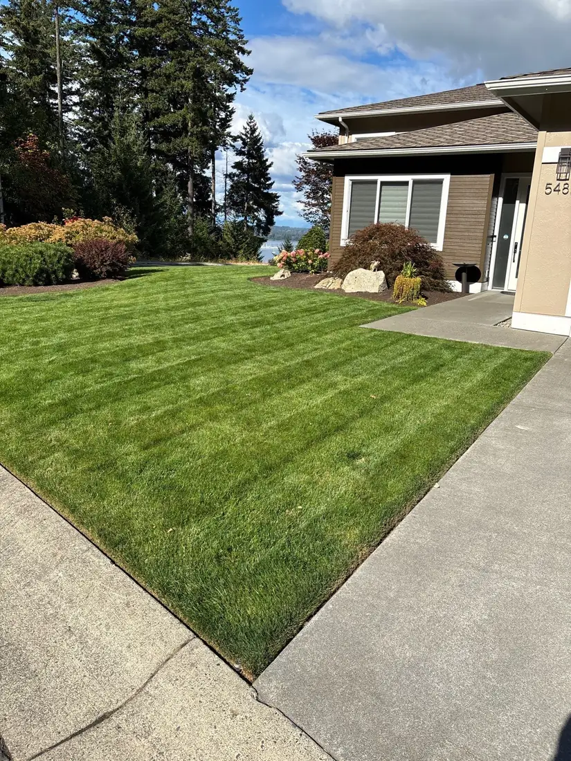 Striped front lawn on the bluff